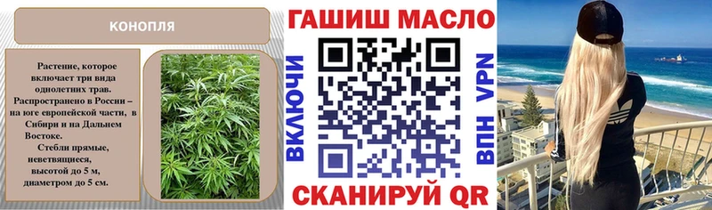 где найти Боровичи ТГК концентрат