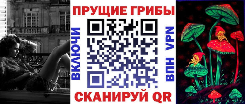 Галлюциногенные грибы Psilocybine cubensis где можно купить Боровичи