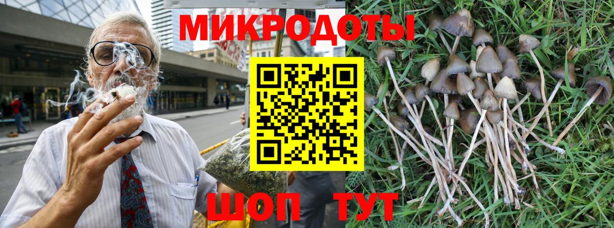 Галлюциногенные грибы Psilocybine cubensis  Вход с VPN  Боровичи 